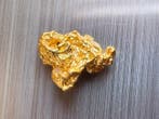 Goud Goud nuggets- 0.2 g - (1)