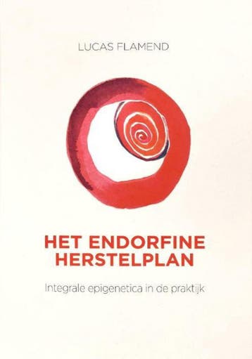 Het endorfine herstelplan 9789082922103 Lucas Flamend, Verzenden, Zo goed als nieuw, Lucas Flamend