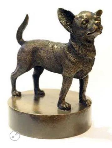 Honden urn verbronsd Chihuahua, Nieuw