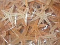 Zeesterren 2-3 inch 50 stuks, Hobby en Vrije tijd, Ophalen of Verzenden, Nieuw