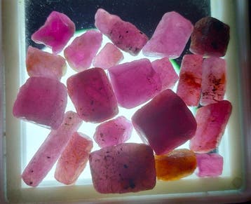 101 ct - Onbehandelde robijn - Ruw- 20.2 g, Verzamelen
