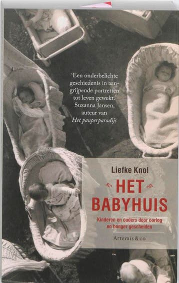 Het babyhuis - Liefke Knol 9789047201380, Verzenden, Gelezen, Liefke Knol