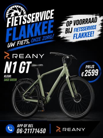 Reany N1 Gt sage green. (Laatste productie), Fietsen en Brommers, Ophalen, Nieuw