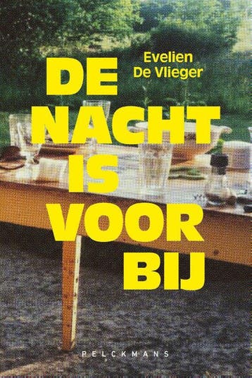 De Nacht Is Voorbij | Evelien De Vlieger | Nieuw, Ophalen of Verzenden, Nieuw, Evelien De Vlieger
