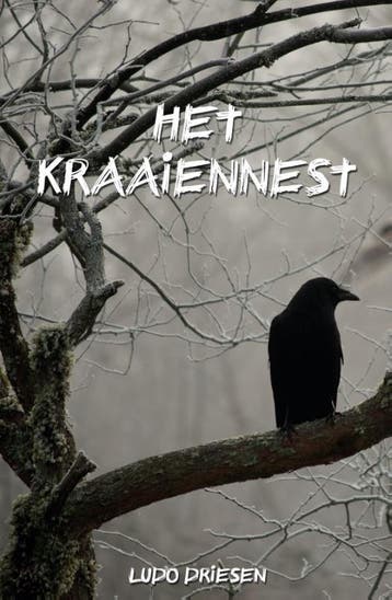 Het Kraaiennest / Joerie / 1 - Ludo Driesen 9789462663558, Verzenden, Zo goed als nieuw, Ludo Driesen