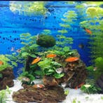 Aquarium led strips - Vanaf €21,95, Led-lamp, Minder dan 30 watt, Verzenden, Nieuw