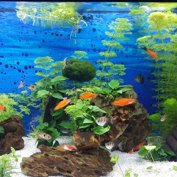 Aquarium led strips - Vanaf €21,95, Huis en Inrichting, Led-lamp, Minder dan 30 watt, Verzenden, Nieuw