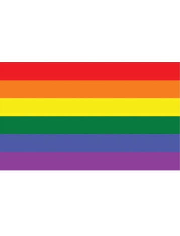 Regenboog vlag 90x150cm, Ophalen of Verzenden, Nieuw