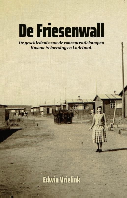 De Friesenwall 9789090391281 Edwin Vrielink, Boeken, Oorlog en Militair, Zo goed als nieuw, Verzenden