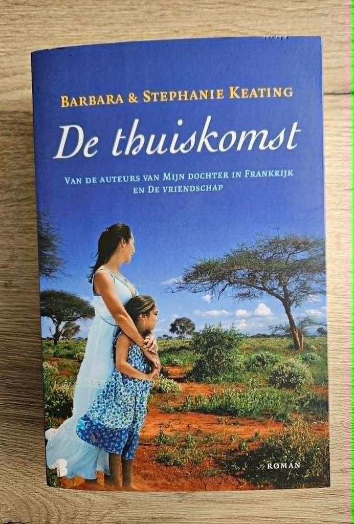 Diverse romans, Boeken, Romans, Gelezen, Ophalen of Verzenden