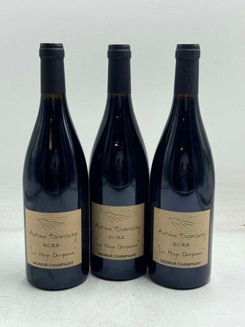 2022 Antoine Sanzay, La Haye Dampierre - Saumur-Champigny -, Nieuw