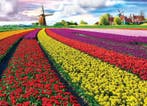 Tulip Fields, Tulpen Velden (Bloemen & Planten, Puzzels), Ophalen of Verzenden, Nieuw, Overige typen