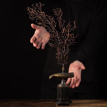 sculptuur, Whale with Gorgonian - 510 mm - Echt Exclusieve