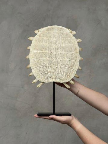 GEEN MINIMUMPRIJS - Prachtige Chinese, Antiek en Kunst
