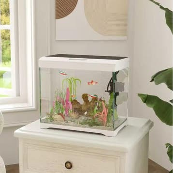 Aquarium 17L met LED en Filter –Compact Tropisch Aquarium, Dieren en Toebehoren, Vissen | Aquaria en Toebehoren, Verzenden, Nieuw