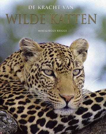 De kracht van wilde katten - Mike Briggs 9781405489010, Verzenden, Zo goed als nieuw, Mike Briggs
