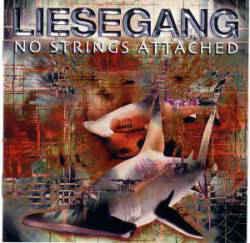 cd - Liesegang - No Strings Attached, Cd's en Dvd's, Cd's | Overige Cd's, Zo goed als nieuw, Verzenden
