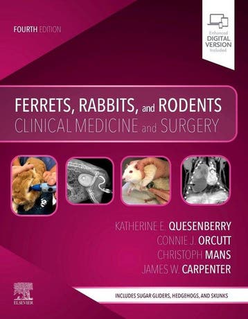 9780323484350 Ferrets Rabbits  Rodents Katherine Quesenberry, Verzenden, Nieuw, Katherine Quesenberry