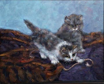 H.M. Bergen - Speelse kittens