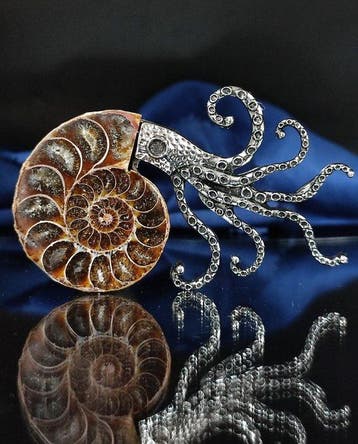 Geen reserveprijs Prachtige ammoniet hanger/broche