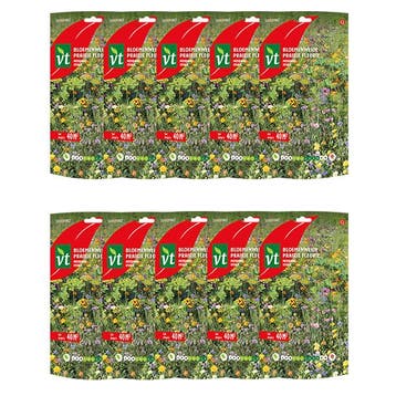 Bloemzaden meerjarige bloemen | VT | 10 stuks (40 m²), Verzenden