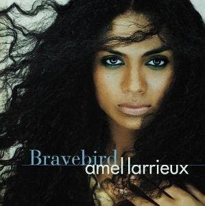 cd - Amel Larrieux - Bravebird [Us Import], Verzenden, Zo goed als nieuw