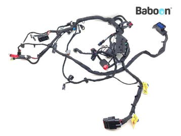 Kabelboom Harley-Davidson Livewire One 2023 (LW1) (69202575), Verzenden, Gebruikt