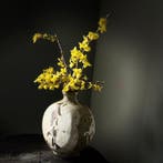 Mashiko-ware - Henko - Vaas - Klei - Ikebana-vaas