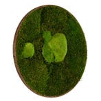 Vintlux Mosschilderij Rond Donker Eiken - Esbjerg, Huis en Inrichting, Woonaccessoires | Wanddecoraties, Nieuw