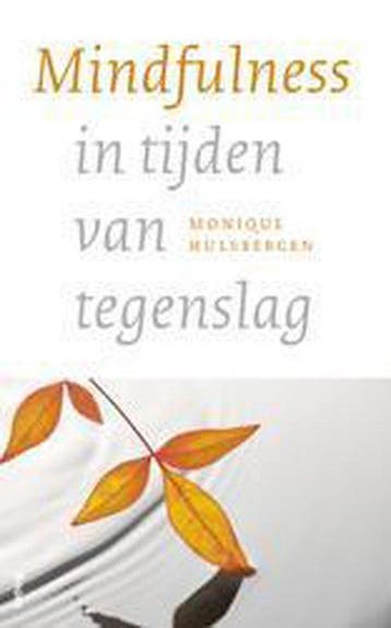 9789461059826 Mindfulness in tijden van tegenslag, Verzenden, Zo goed als nieuw, Monique Hulsbergen