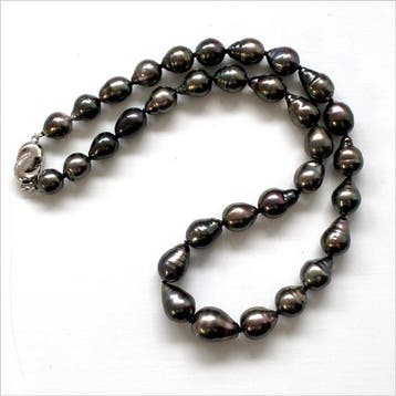 Halsketting Zilver Parel - Black-Lipped8,8 - 12,2 mm, Sieraden, Tassen en Uiterlijk, Nieuw