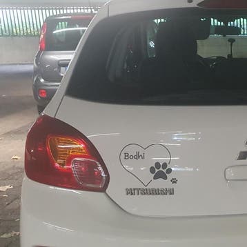 Sticker hart met hondenpoot en naam -  € 6,50 in div kleuren, Dieren en Toebehoren, Verzenden, Nieuw