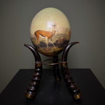 Struisvogel Ei Taxidermie Opgezette Dieren By Max, Verzamelen, Dierenverzamelingen, Ophalen of Verzenden, Nieuw, Wild dier, Opgezet dier