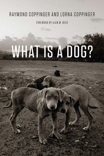 What Is a Dog? - Raymond Coppinger 9780226127941, Verzenden, Gelezen, Raymond Coppinger