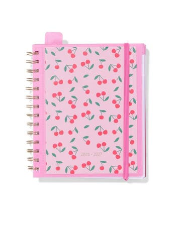 HEMA Schoolagenda met insteek 2026-2027 13x18cm kers, Diversen, Verzenden, Nieuw