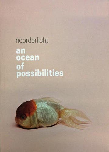 An ocean of possibilities - Keijser, Verzenden, Gelezen