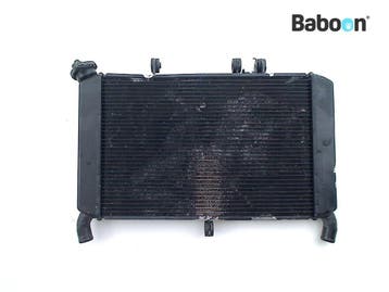 Radiateur Yamaha MT 09 2014-2016 Street Rally (MT09, Verzenden, Gebruikt