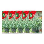 Salie zaad | VT | 5 stuks, Verzenden