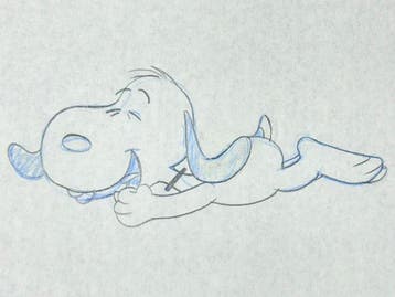 Charles M. Schulz - originele animatietekening - Peanuts, Cd's en Dvd's, Nieuw in verpakking