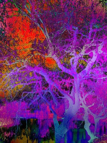 Viet Ha Tran - Shades of Dreams XXIII