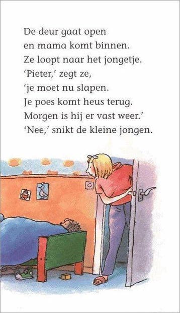Poes Is Weg, Ophalen of Verzenden, Nieuw
