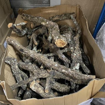 Kurk Takken - Boomstammetjes Per 5 kg, Ophalen of Verzenden, Nieuw