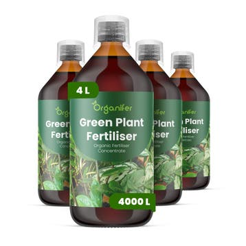 Groene plant vloeibare meststof - Set 4x1 liter, Verzenden, Mest