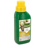 Pokon cactus & vetplant voeding (250 ml), Verzenden, Nieuw