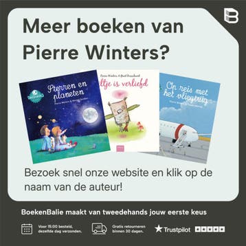 Een huis bouwen / Willewete - Pierre Winters 9789044811742, Boeken, Verzenden, Gelezen, Pierre Winters