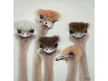 Olieverf schilderij struisvogels van Ter Halle, Ophalen of Verzenden, Nieuw