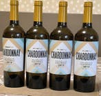 2012 Arínzano Magnitud Chardonnay - Navarra Reserva - 4, Nieuw
