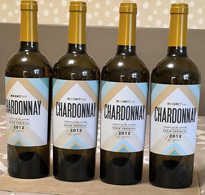 2012 Arínzano Magnitud Chardonnay - Navarra Reserva - 4, Verzamelen, Wijnen