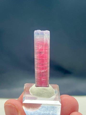 tweekleurige tourmalijn Kristalen - Hoogte: 46 mm - Breedte:, Verzamelen, Mineralen en Fossielen