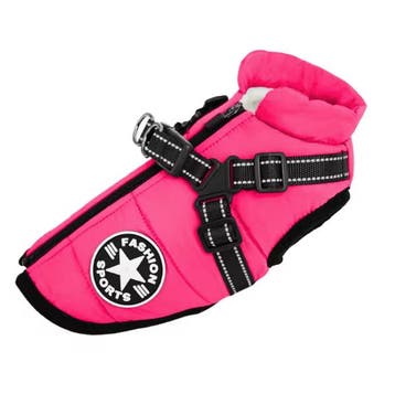 Warme  Hondenjas Pink (Jassen, Hondenkleding), Ophalen of Verzenden, Nieuw, Hondenjas